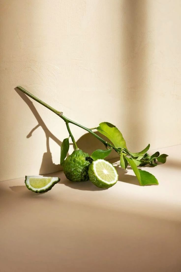 Products – Fiele Fragrances