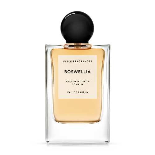 North America – Fiele Fragrances